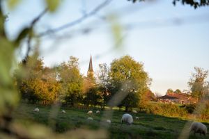 animation jardin saint pardoux79